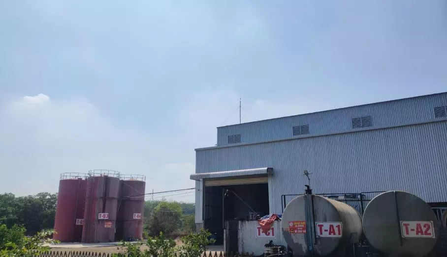 Lean Operations: The Key to Quality and Flexibility at Clover